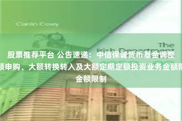 股票推荐平台 公告速递：中信保诚货币基金调整大额申购、大额转换转入及大额定期定额投资业务金额限制