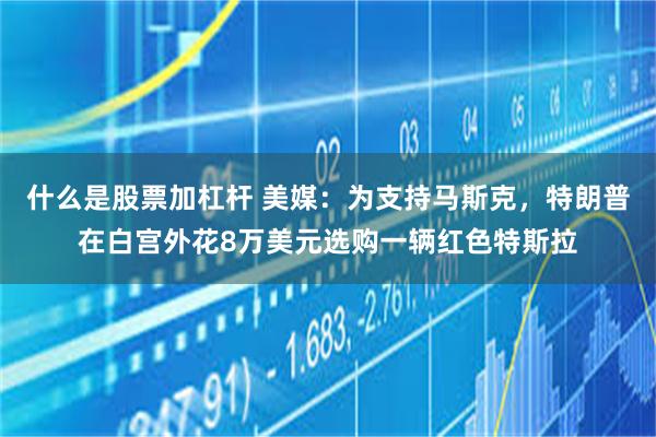 什么是股票加杠杆 美媒：为支持马斯克，特朗普在白宫外花8万美元选购一辆红色特斯拉