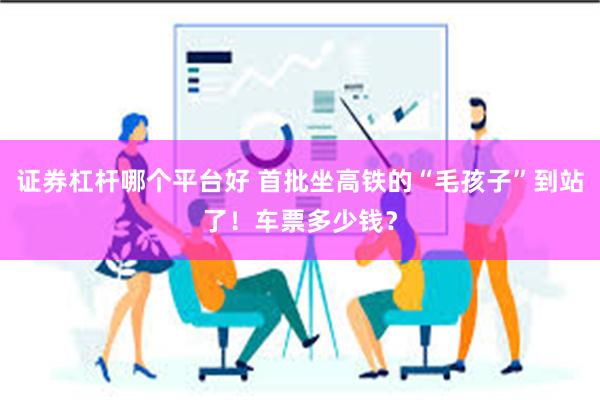 证券杠杆哪个平台好 首批坐高铁的“毛孩子”到站了！车票多少钱？