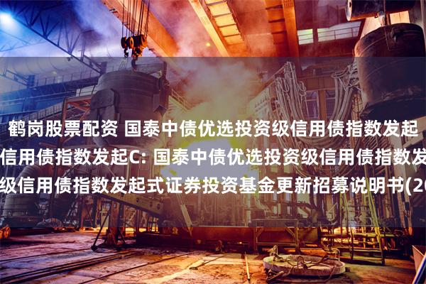 鹤岗股票配资 国泰中债优选投资级信用债指数发起A,国泰中债优选投资级信用债指数发起C: 国泰中债优选投资级信用债指数发起式证券投资基金更新招募说明书(2025年第一号)