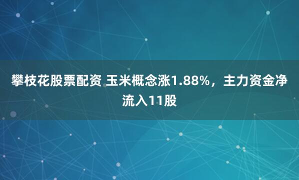攀枝花股票配资 玉米概念涨1.88%，主力资金净流入11股