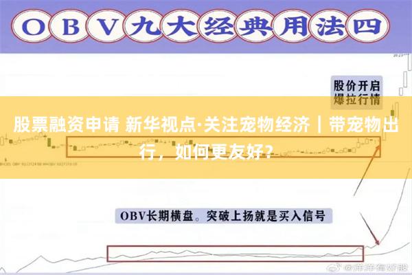 股票融资申请 新华视点·关注宠物经济｜带宠物出行，如何更友好？