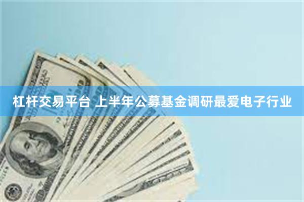 杠杆交易平台 上半年公募基金调研最爱电子行业